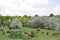 Red cows pasture in summertime