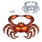 Red crab animal isolated sketch