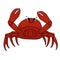 Red crab is smiling, claws are apart at the top, crustacean has a positive attitude. Cartoon outline Vector doodle isolated animal