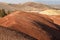 Red cracked earth mounds on the Paint Cove Trail in Painted Hills