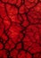 Red Cracks: An Expressionist Closeup