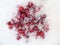 Red cranberries on cold snow in winter.