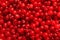 Red Cranberry Texture