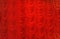 Red crape velvet curtain