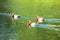 Red-Crested Pochards in the St. James park lake. London. UK