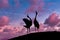 Red-crowned cranes graceful auspicious. Zhalong China, natural ecology has become a global one of 16 international important wetla