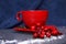 Red Cup on a saucer with cranberries