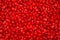 Red currant background.