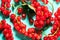 Red currant berries on turquoise background, top view. Fresh and juicy organic redcurrant berry