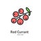 Red Currant Berry Color Thin Line Icon Concept. Vector