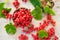 Red currant in a bowl, berries and leaves