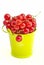 Red currant in bucket