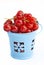Red currant in bucket