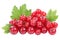 Red currant currants berries berry fruits fruit isolated on white