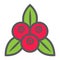 Red currant line icon, fruit and diet