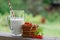 Red currant milk still life