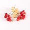 Red Currant White Currant Brunches on White Background Copy Space Square