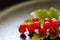 Red currants on a heavily blurred background