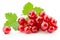 Red currants isolated on the white background