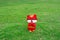 Red cute cartoon tiger zodiac doll standing on green lawn