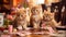 red cute fluffy kittens plays with cards on the table