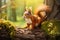 Red cute wild rodent mammal animal wildlife nature squirrel forest