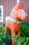 Red Dala Horse wooden statue symbolizes the Swedish and Norwegian culture of the small Minnesota town