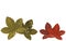 Red and dark green autumn leaves, transparent watercolor style illustration