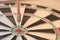 Red dart arrow hit the center bullseye dart board accuracy . Close up focus red circle compare strategy market of target success