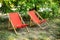 Red Deckchairs in autumn garden. Two deckchairs on summer green lawn. Lounge sunbed. Wooden garden furniture on grass lawn outdoor