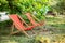 Red Deckchairs in autumn garden. Two deckchairs on summer green lawn. Lounge sunbed. Wooden garden furniture on grass lawn outdoor