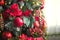 Red decor on a Christmas tree made of apples and poinsettias. Christmas background and frame for new year. Close-up, festive fir t