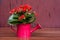 Red Decorative Plant Waterer with bouquet of flowers