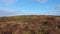 Red Deer on Castlegoland by Portnoo, County Donegal, Ireland