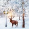 Red deer in a fabulous Christmas forest on a background of snowy trees and a lantern. Composite image.