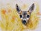Red deer female . Watercolors.