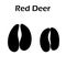 Red Deer Footprint