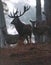 Red deer stag with hinds in misty autumn forest.