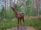 Red Deer Stag. Sculpture.
