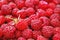 Red delicious raspberry pile, one berry with fruit stem