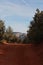 A red dirt road on the Devil\\\'s Bridge Trail lined with evergreens with mountains in the background in Sedona, Arizona