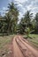 Red dirt track leading to a coconut plantation