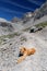 The red dog lies on a stony mountain track.