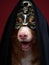 red dog in steampunk masked . Nova Scotia Duck Tolling Retriever in the Studio.