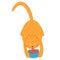 Red domestic cat eats food from a bowl. Fat ginger cat eating dry food for the animals. Vector illustration