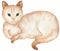 Red domestic lying cat illustration. Cute Cats background. Watercolor hand drawn picture