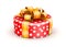 Red doted gift box