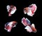 Red doubletail siamese fighting fish, betta fish isolated on black background.