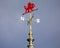 Red Dragon Weather Vane on Llandudno Pier in Wales, UK