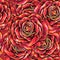 Red drawn roses seamless background.